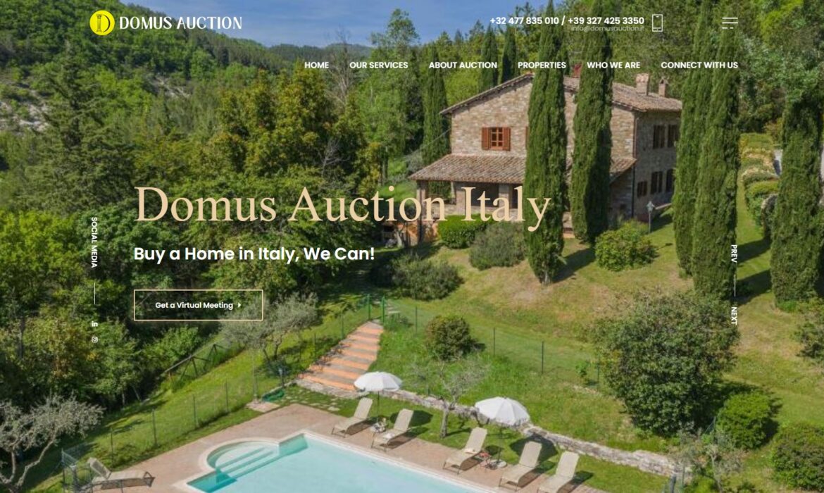 Domus Auction